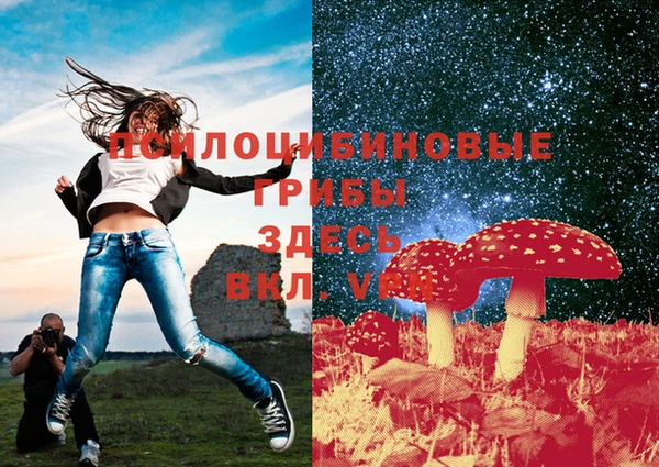 2c-b Лагань