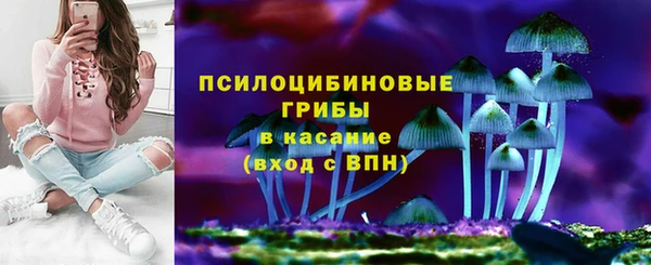 2c-b Лагань