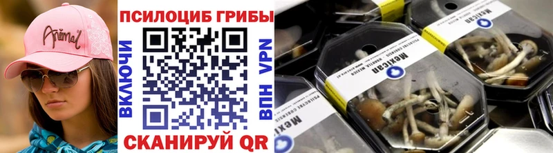 Купить  Николаевск  Псилоцибиновые грибы Cubensis 